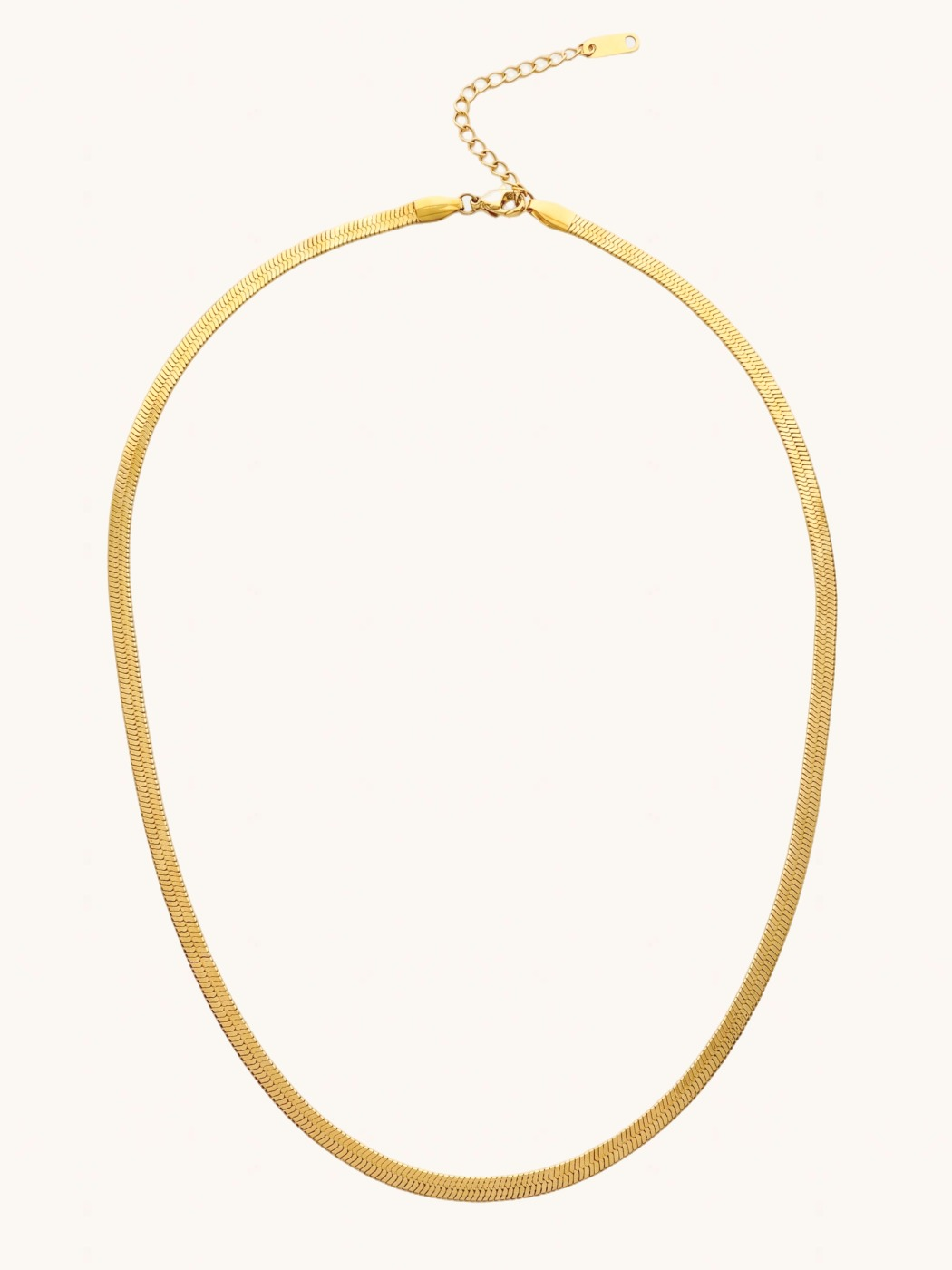 Front View of Raia Waterproof Necklace Adjustable Length 18k Gold Plated Steel | Hypoallergenic Tarnish Resistant Sweat Water Eco - Friendly One Size 8.6gms Stainless