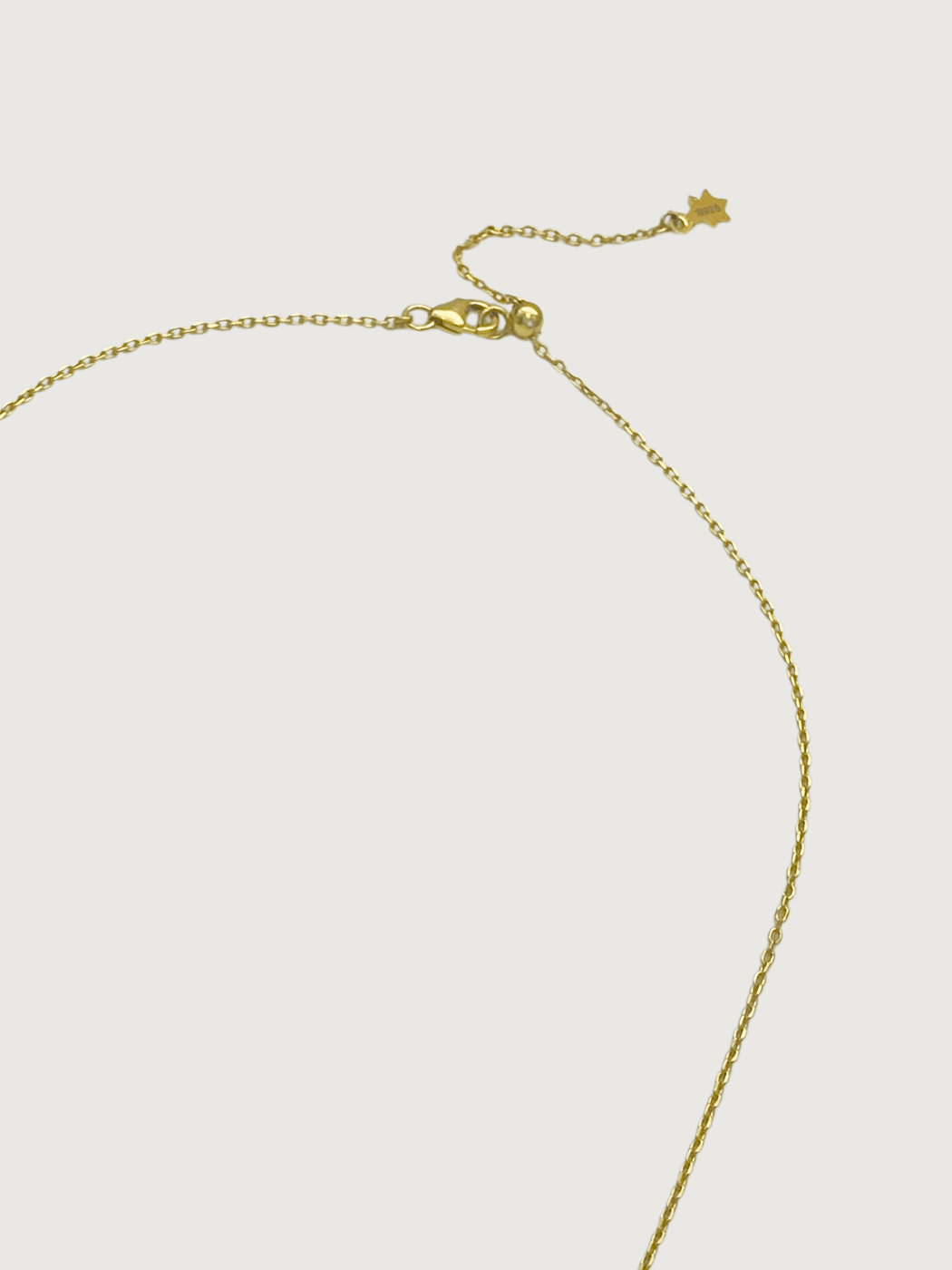 Rear View of Rayan charm necklace in 18k gold plated silver Adjustable Length Gold Plated 925 Sterling Silver Metal One Size 3.3gms