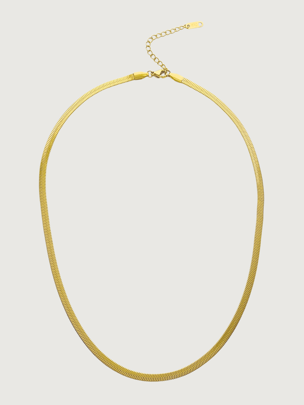 Front View of Raia Waterproof Necklace in 18K Gold Plated Metal Adjustable Length 18k Steel | Hypoallergenic Tarnish Resistant Sweat Water Eco - Friendly One Size 8.6gms